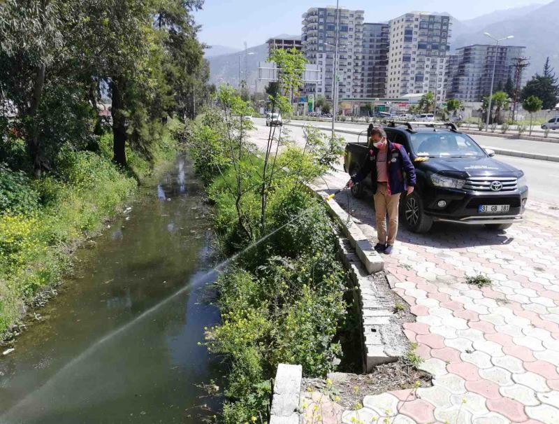 İSKENDERUN’DA 4 AYDA 12 BİN 726 NOKTA İLAÇLANDI