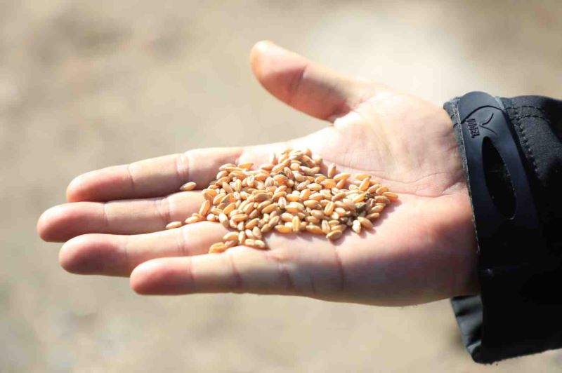 HBB’DEN ÜRETİME DESTEK HASADA BEREKET