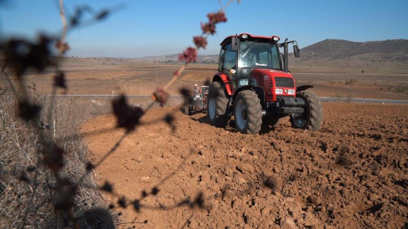 Süt Otu Tohumu Toprakla Buluştu