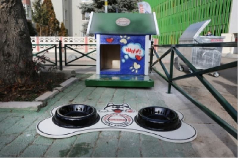 DAHA YEŞİL BİR ESKİŞEHİR İÇİN YIL BOYUNCA ÇALIŞTILAR