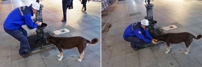 Elleriyle köpeğe su içirdi, gönülleri fethetti