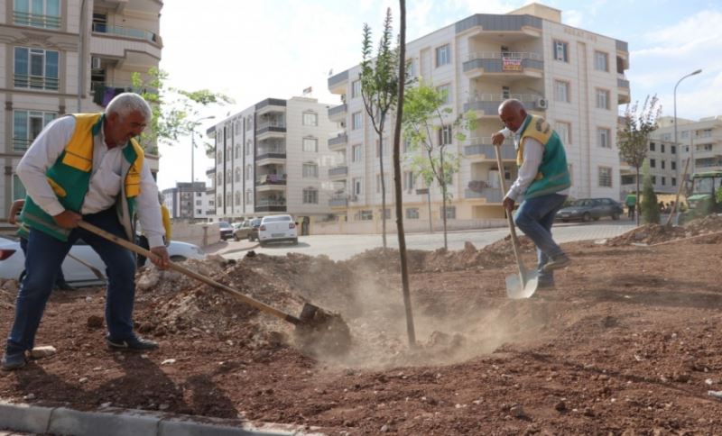 KARAKÖPRÜ’DE YENİ PARKLAR AĞAÇLANDIRILIYOR