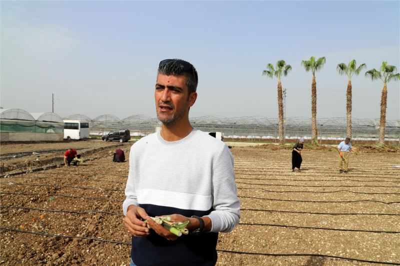 AKDENİZ BELEDİYESİ, ÜRETİCİLERİ MARALFALFA İLE TANIŞTIRDI