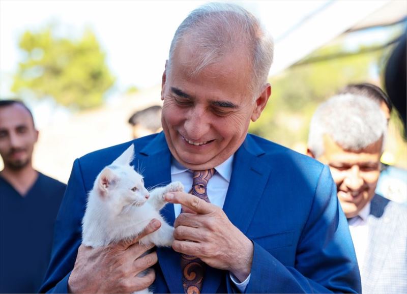 Hayvan dostu şehir: Denizli