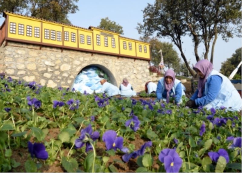 Macera Bursa Kış Çiçekleriyle Yenileniyor