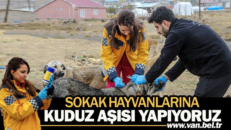 BÜYÜKŞEHİR BELEDİYEMİZ SOKAK HAYVANLARINA KUDUZ AŞISI