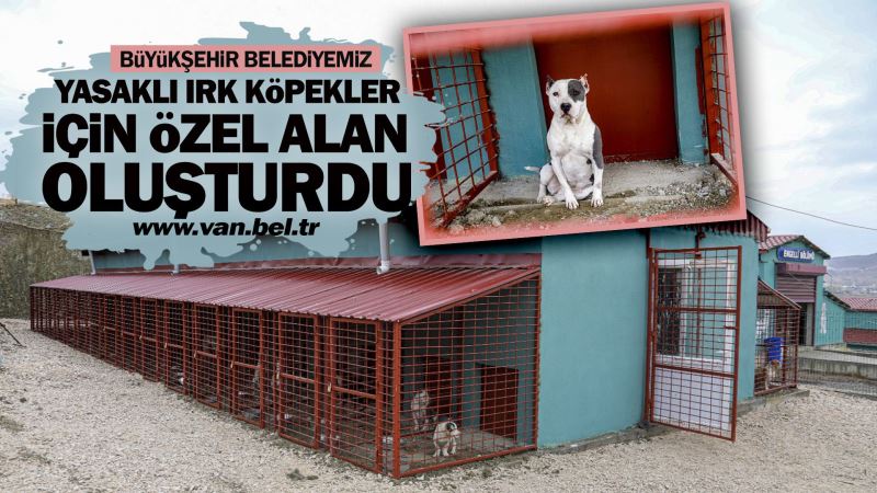 BÜYÜKŞEHİR BELEDİYEMİZ YASAKLI IRK KÖPEKLER İÇİN ÖZEL ALAN OLUŞTURDU