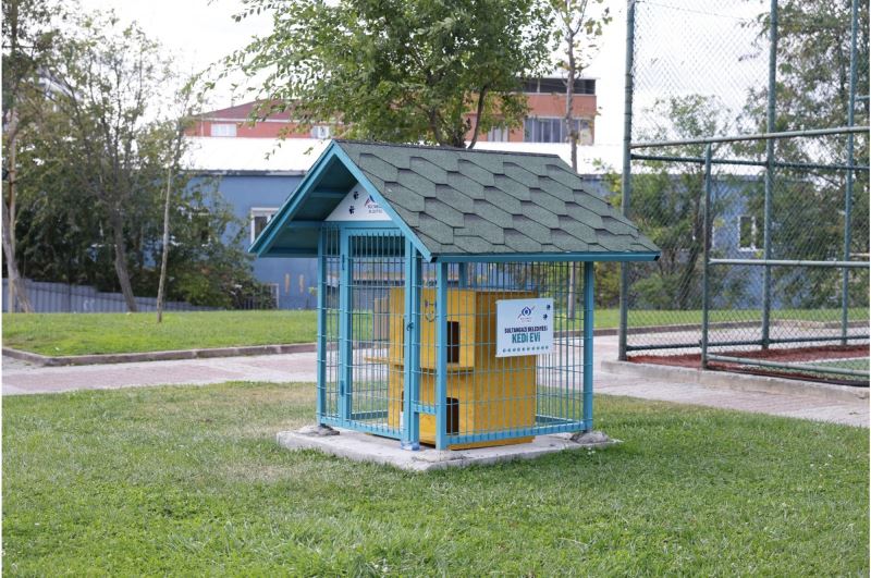 Sultangazi Belediyesi’nden Can Dostlarımıza Kış Hazırlığı