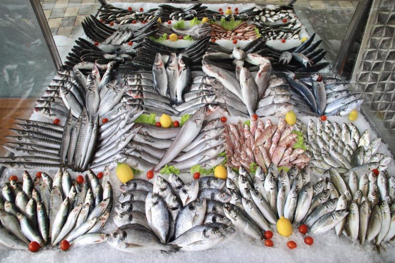 Şükrü Ercan Çamlık Park Balık Restaurant Kapılarını Açtı !