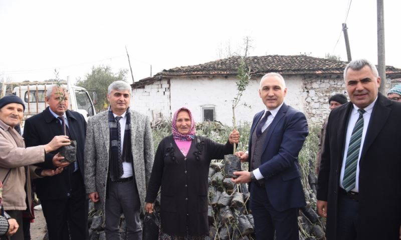 Tarım Arazisi Yanan Üreticilere Fidan Desteği