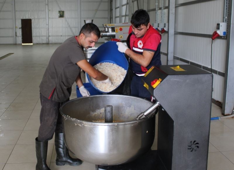 Şehrin artan yemekleri can dostlara 