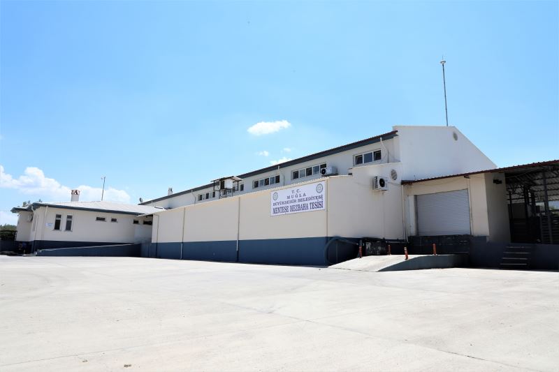 2021 Yılında Büyükşehir Mezbahalarında 5 Milyon 671 Bin kg. Et Üretildi