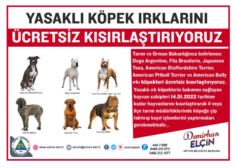 YASAKLI KÖPEK IRKLARINI ÜCRETSİZ KISIRLAŞTIRIYORUZ