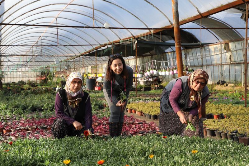 Muğla’da Üretilip 25 Şehre Pazarlanıyor