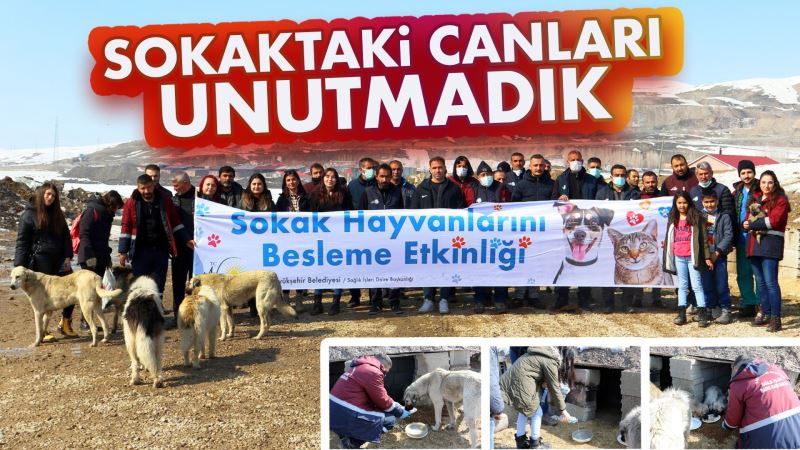 SOKAK HAYVANLARI İÇİN BESLEME ETKİNLİĞİ DÜZENLEDİK