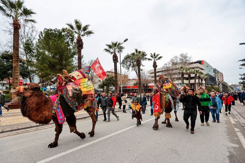 Pehlivan develer görücüye çıktı