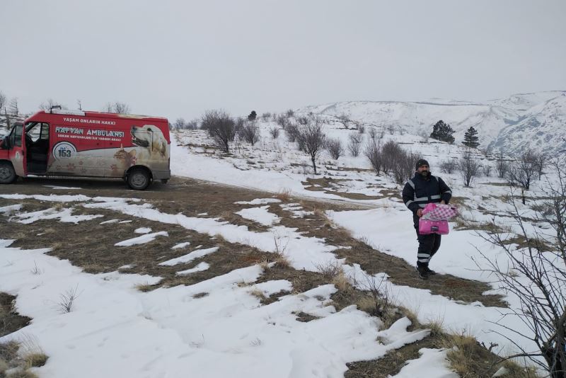 Doğadaki dostlarımız için kırsal alanlara yem bırakıldı