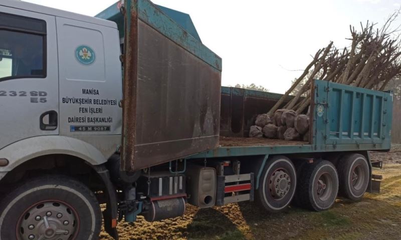 Manisa’nın Yeşiline 1110 Ağaçlık Katkı Daha Yapılacak