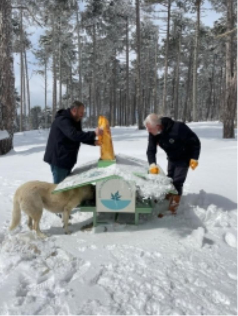 Can Dostlar Soğuk Havalarda Unutulmadı