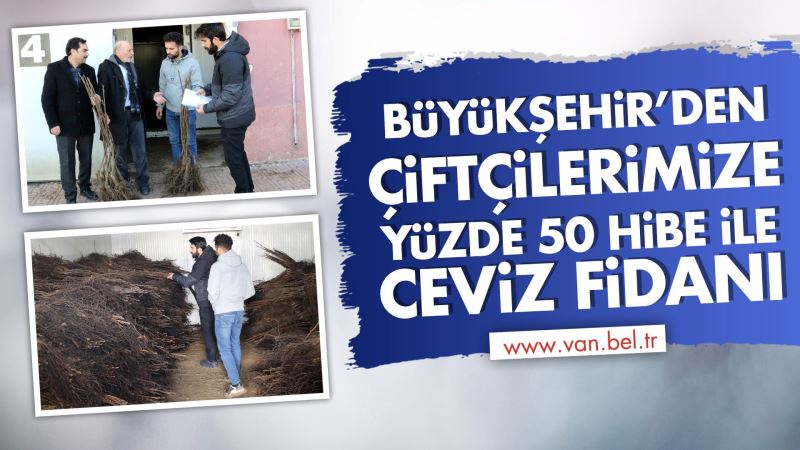 BÜYÜKŞEHİR, ÇİFTÇİLERE YÜZDE 50 HİBE İLE CEVİZ FİDANI DAĞITIYOR