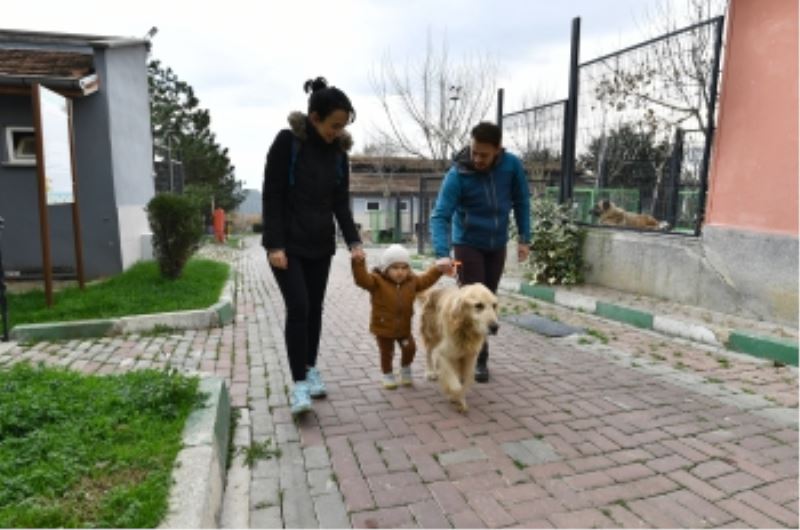 78 Can Dost Sıcak Yuvaya Kavuşturuldu