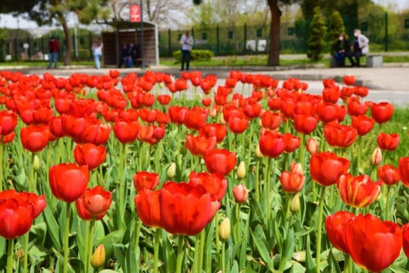 Baharda Samsun bir başka güzel