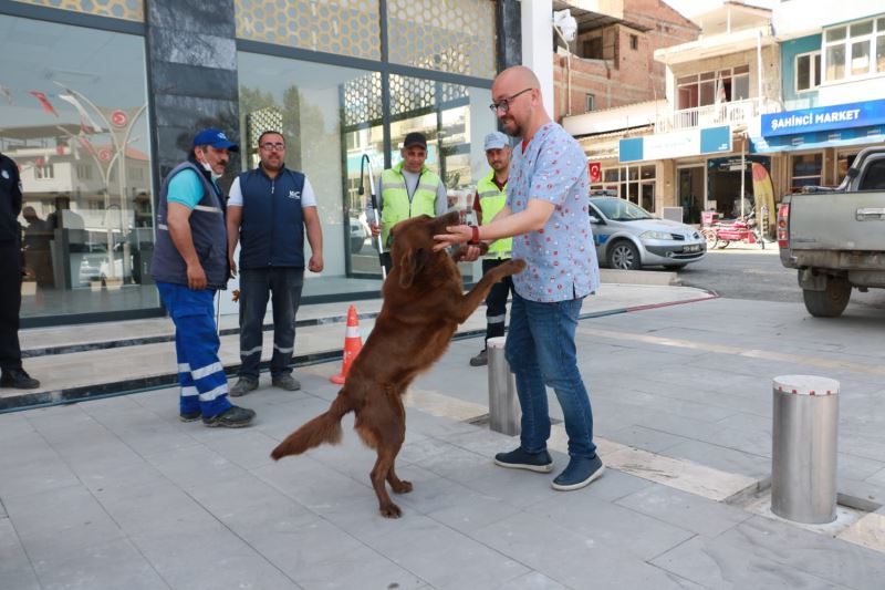 AYDIN BÜYÜKŞEHİR BELEDİYESİ, KOÇARLI BELEDİYESİ’YLE SOKAK HAYVANLARI İÇİN ORTAK ÇALIŞMA YAPIYOR