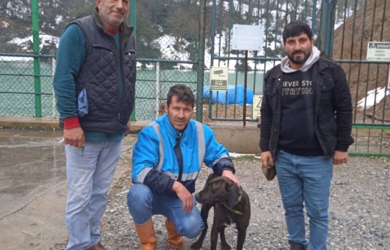 BARAJDA MAHSUR KALAN KÖPEK EKİPLERİMİZ TARAFINDAN KURTARDI