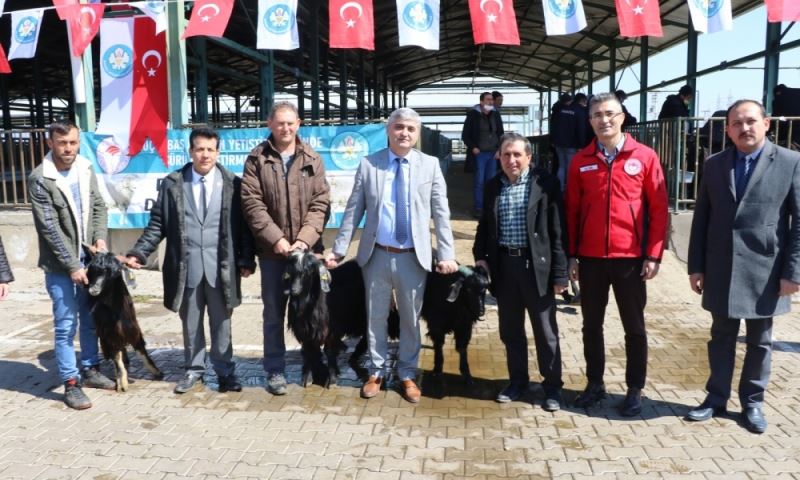 Üreticilerin Sürü Kalitesi Artacak