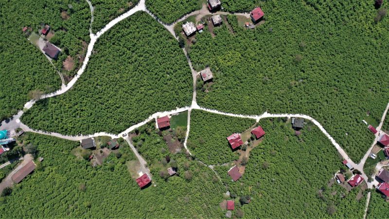 ALTINORDU’NUN DEVAM EDEN BETON YOL SERİSİNDE 33. MAHALLE ARTIKLI DA TAMAM