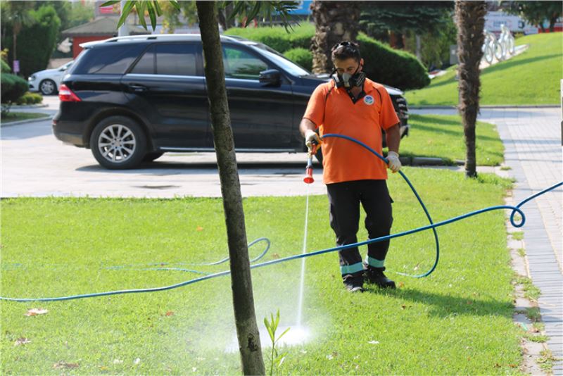 Büyükşehir’den sinek ve böcek istilasına müdahale