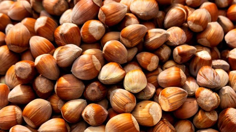 Fındık Patozu Fiyatları İle İlgili Açıklama