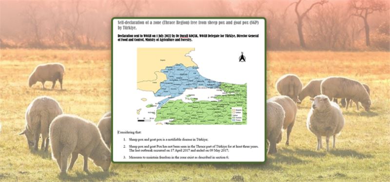 TRAKYA’NIN KOYUN VE KEÇİ ÇİÇEĞİ HASTALIĞI’NDAN ARİ OLDUĞU DÜNYAYA DUYURULDU