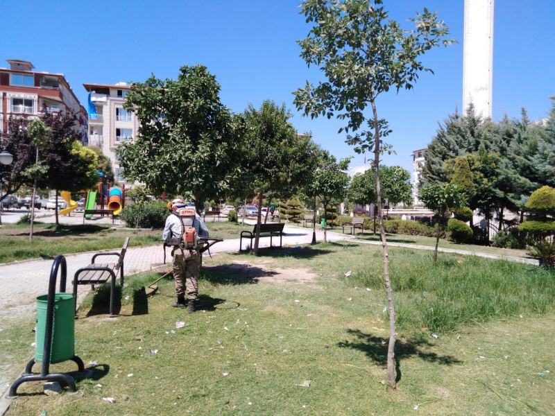 ANTAKYA BELEDİYESİ: “YEŞİLLER İÇERİSİNDE BİR ANTAKYA İÇİN ÇALIŞIYORUZ.”