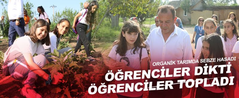 Bolu Belediye Başkanı Tanju Özcan, Kur’an Kursu öğrencileri ile sebze topladı