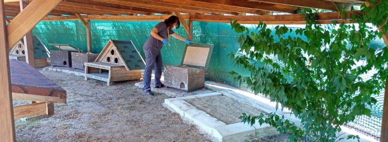 Kedi Köyü Sakinleri Sağlık Kontrolünden Geçti