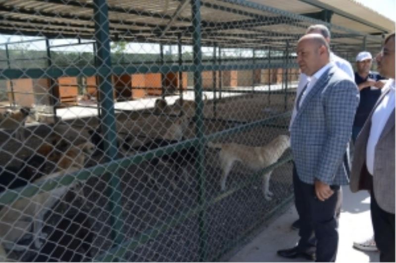 Genel Sekreter Çiftçi, can dostların kaldığı merkezde incelemede bulundu