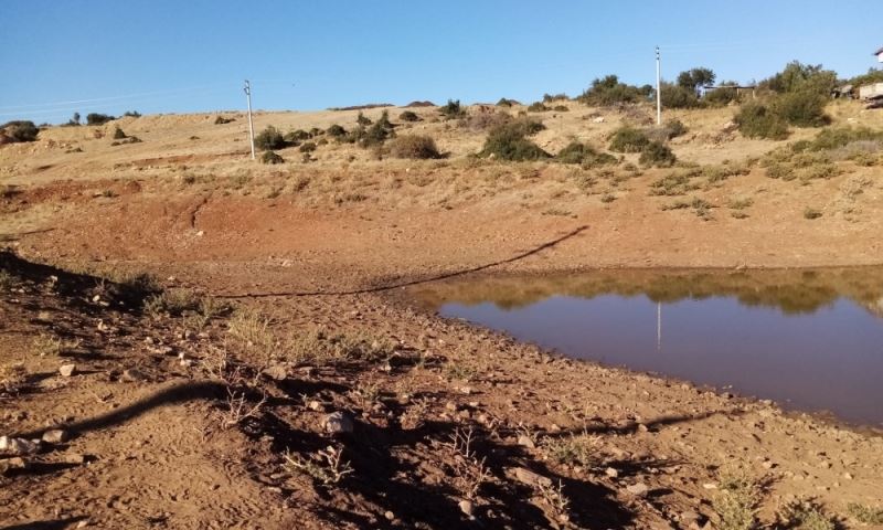 Kula Esenyazı’nın Göletleri Bakıma Alındı