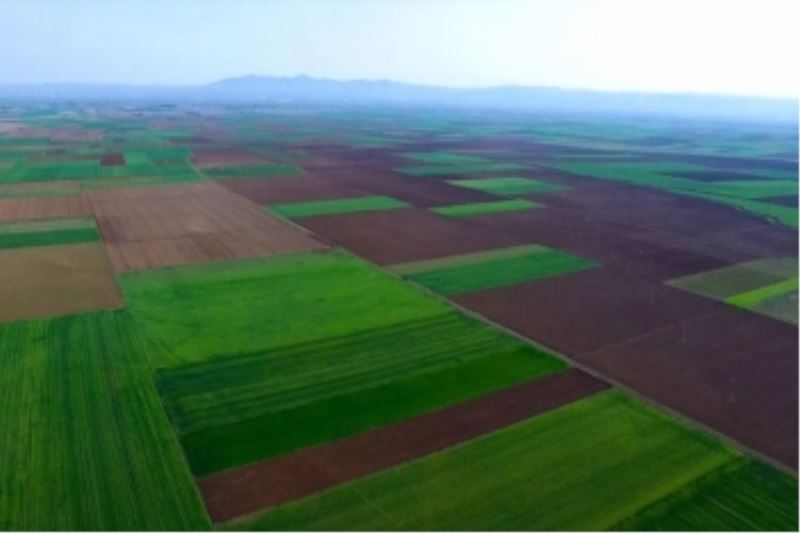 ALPU OVASINI YOK OLMAKTAN KURTARAN KARAR