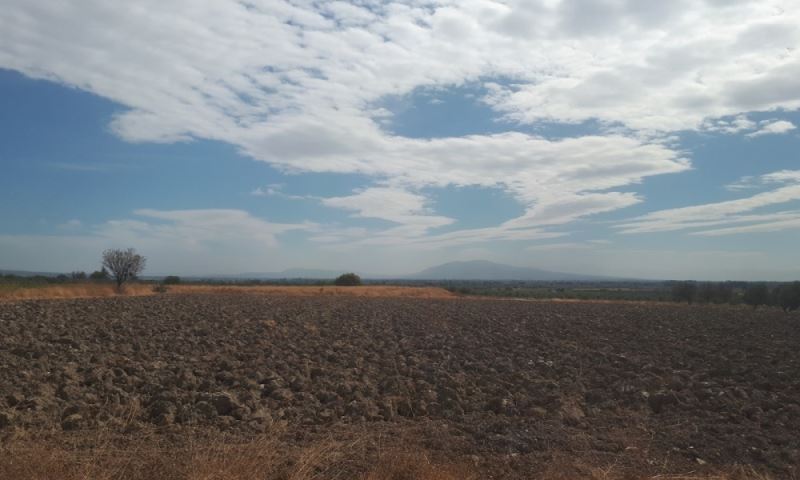 Üreticiye Hibe Edilen Fidanların Takibi Yapılıyor