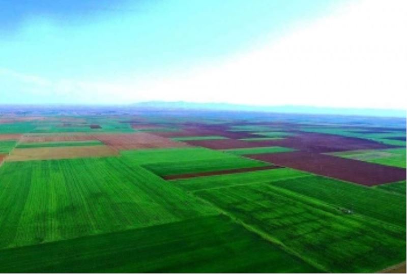 ALPU OVASINA TERMİK SANTRAL YAPILAMAZ