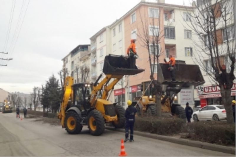BÜYÜKŞEHİR EKİPLERİNDEN AĞAÇLARA KIŞ BAKIMI