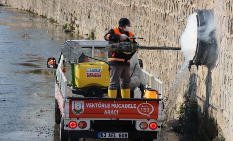 Büyükşehir Vektör İle Mücadelede İşi Sıkı Tutuyor