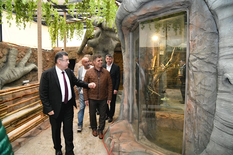 Kuş Parkı açılıyor!