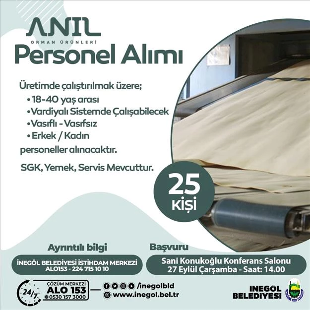 Anıl Orman Ürünleri 25 Personel Alımı Yapacak