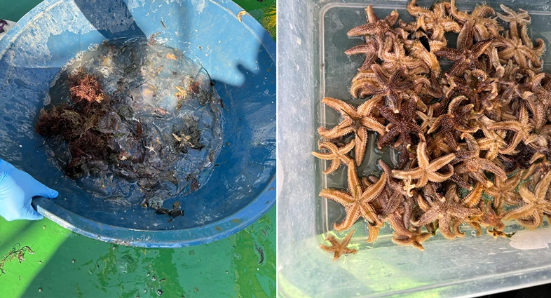 Biyoçeşitlilikte ekim ayı araştırması tamam