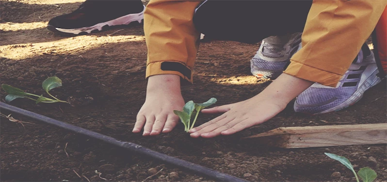 KIŞLIK FİDELER ÇOCUKLARIN ELLERİYLE TOPRAKLA BULUŞTU