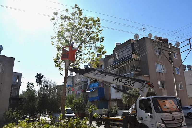 TOROSLAR BELEDİYESİNDEN, AĞAÇLARA KIŞ BAKIMI