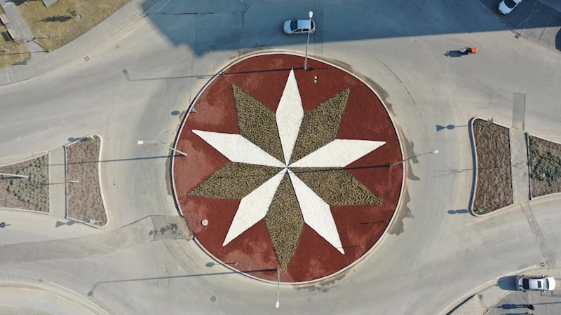 Büyükşehir, Sonbaharda 1 Milyon Çiçek Dikecek