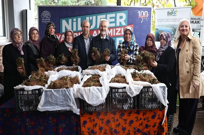 Nilüfer Belediyesi’nin desteğiyle çilek üretimi artıyor